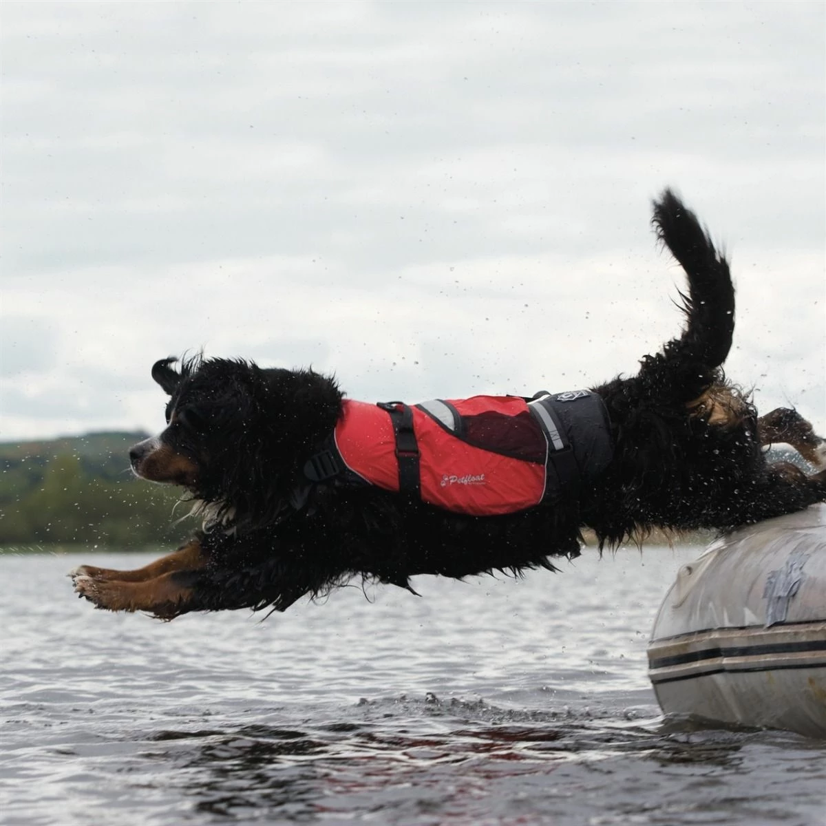 Crewsaver Petfloat Dog Life Jacket - Black/Red 4 Crewsaver Petfloat Dog Life Jacket - Black/Red - Image 4