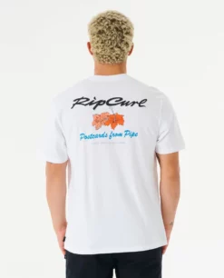 Rip Curl Postcards Hibiscus Tee - White -UK Surfing Equipment Sales Store 111268 03zmte 1000 3