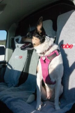 Dryrobe Double Car Seat Cover - Grey -UK Surfing Equipment Sales Store doubleseatcover 1 2024x2024 1