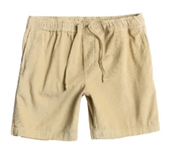 Dark Seas Go To Cord Shorts - Foam